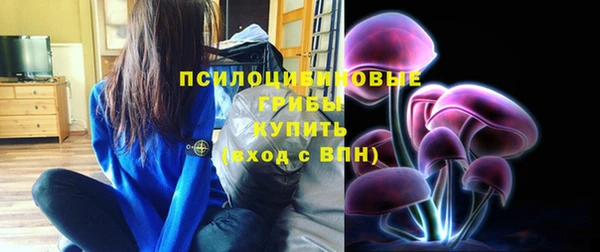 таблы Богородицк