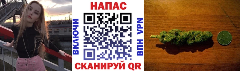 Бошки марихуана гибрид  Коряжма 